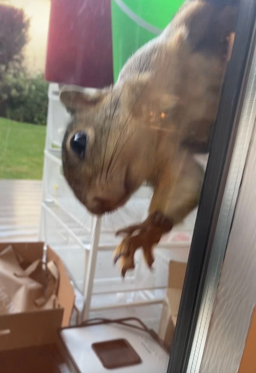 Herman posing with Spiderman decoration